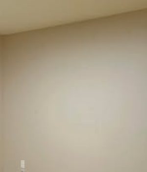 imgi_50_482021789_9175507752548025_7972739248139645152_n